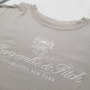 Embroidered Logo Tee - Greige (XL) - ABERCROMBIE & FITCH